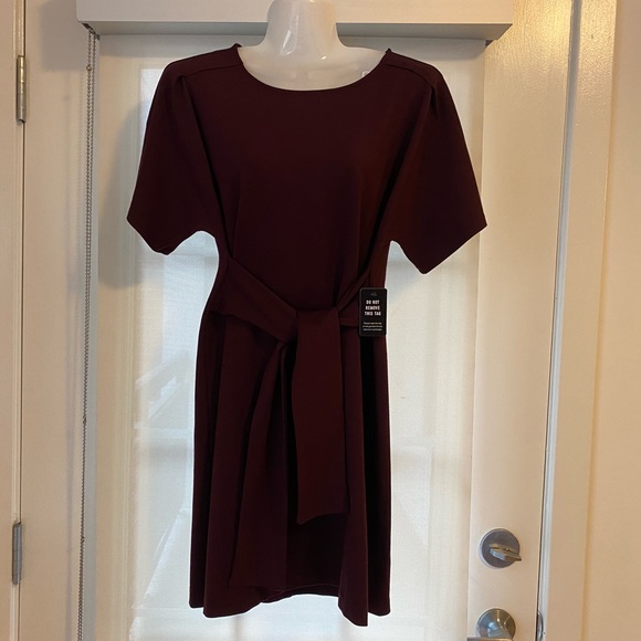 Express Dolman Dress - Picture 3 of 6